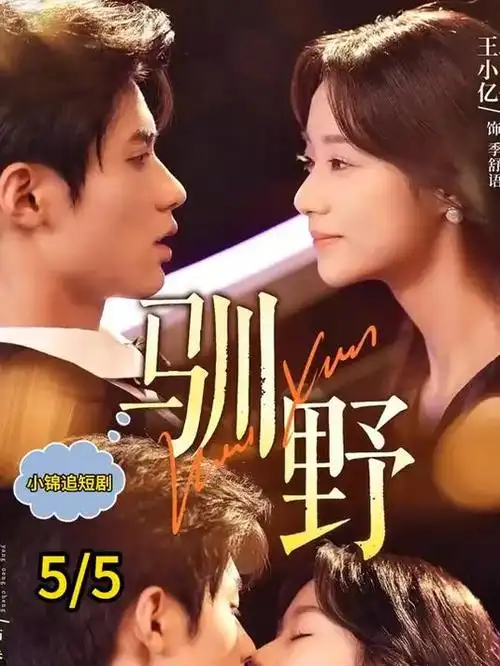 灯火可亲 家庭剧全集免费播放